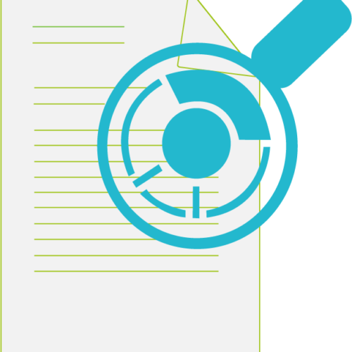 Systeme-de-management-et-audits-500x500